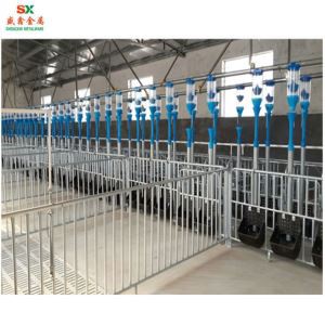 Svína lidningskrata