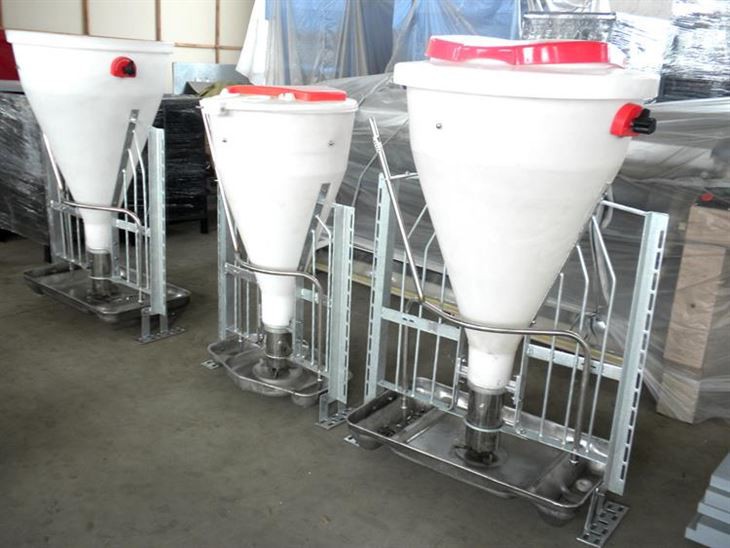 Sjálvvirkandi fóðrarar til svína